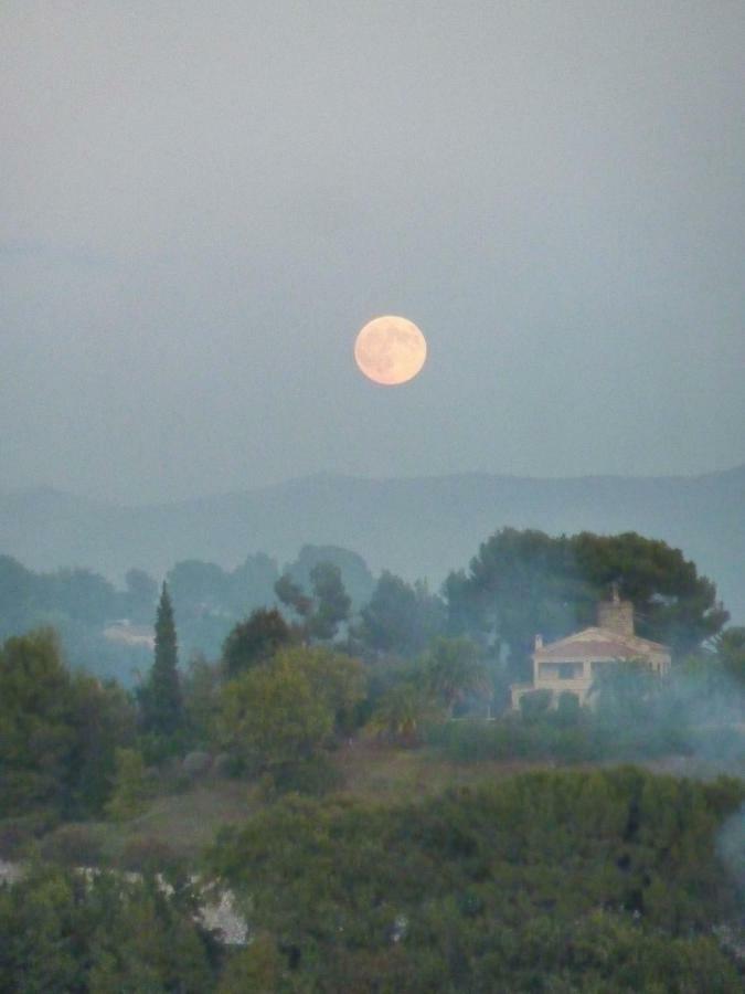 La Maison Aux Bonsais แซงต์-ปอล-เดอ-วองส์ ภายนอก รูปภาพ