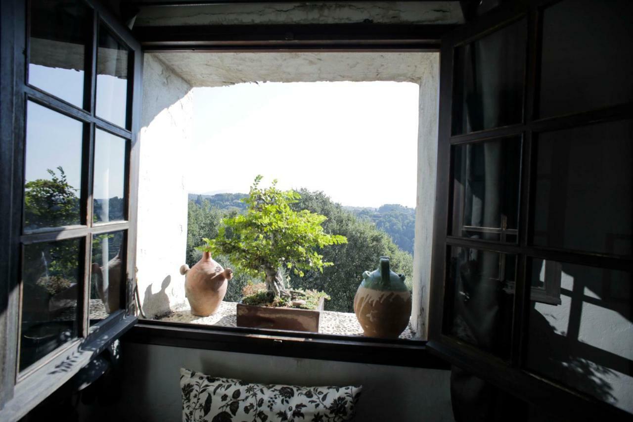 La Maison Aux Bonsais แซงต์-ปอล-เดอ-วองส์ ภายนอก รูปภาพ
