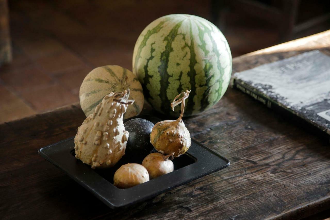La Maison Aux Bonsais แซงต์-ปอล-เดอ-วองส์ ภายนอก รูปภาพ
